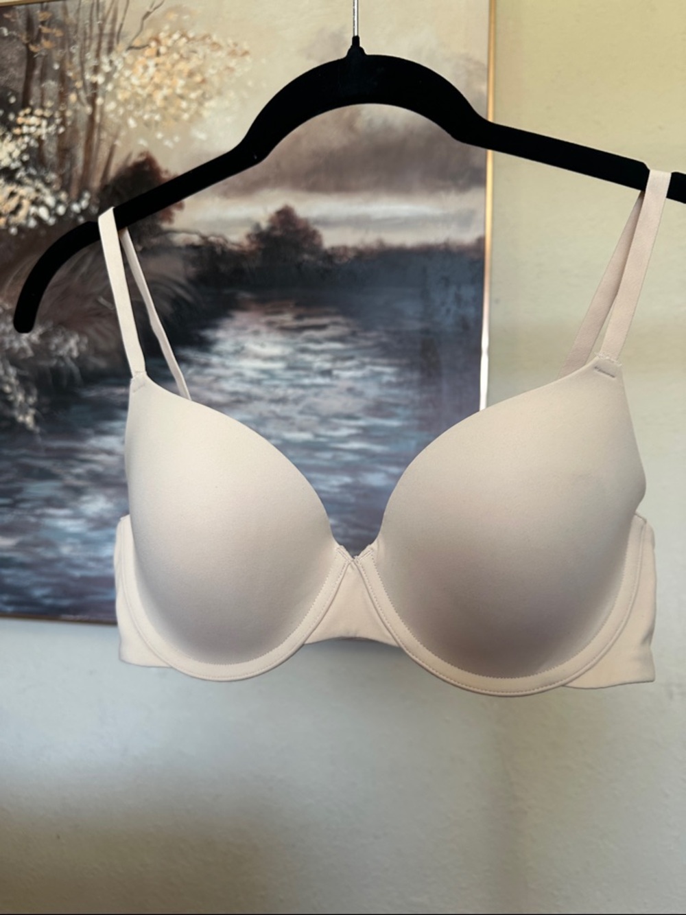 NWOT Skims Fits Everybody Demi T shirt bra size 36C Sand
